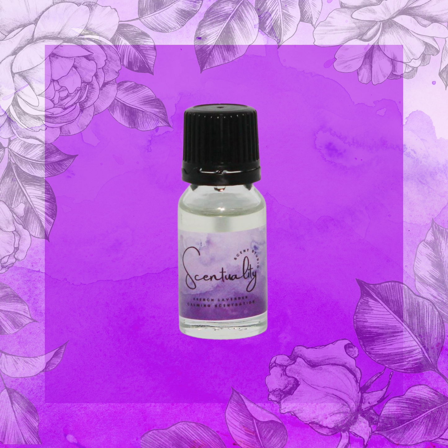 French Lavender| Fragrance Oil