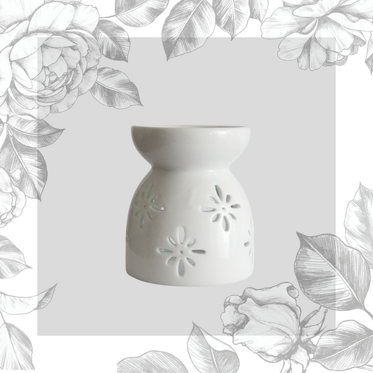 Ceramic Wax Melter